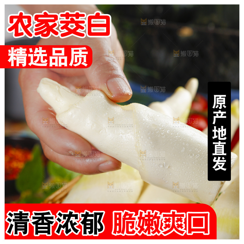 篮子里装着茭白