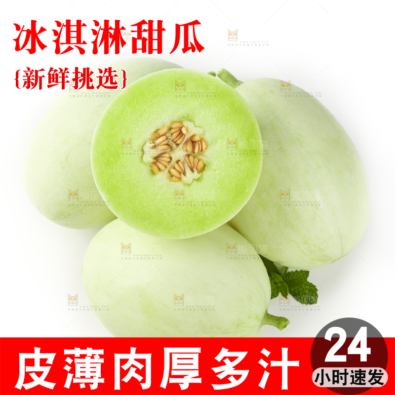 白底上摆放着南汇玉菇甜瓜