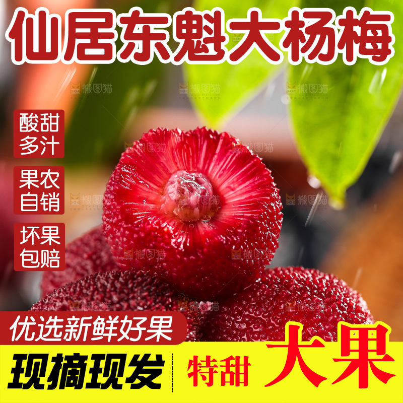 深底上放着余姚杨梅