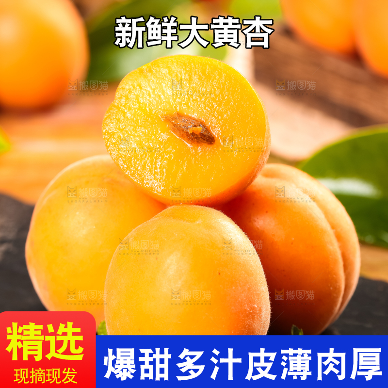 黑底上放着大黄杏