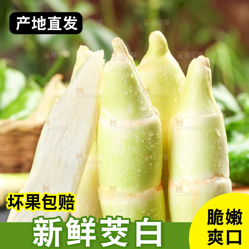 黑石板上的云南茭白