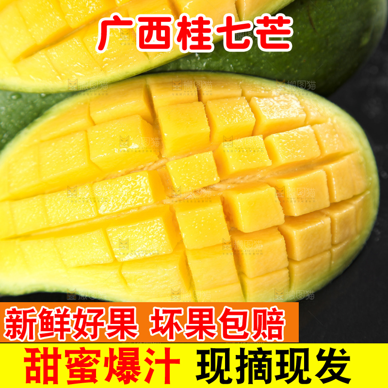 石板上的青皮桂七芒