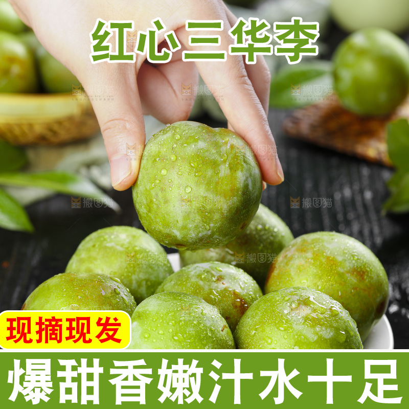 盘子里装着钱排三华李
