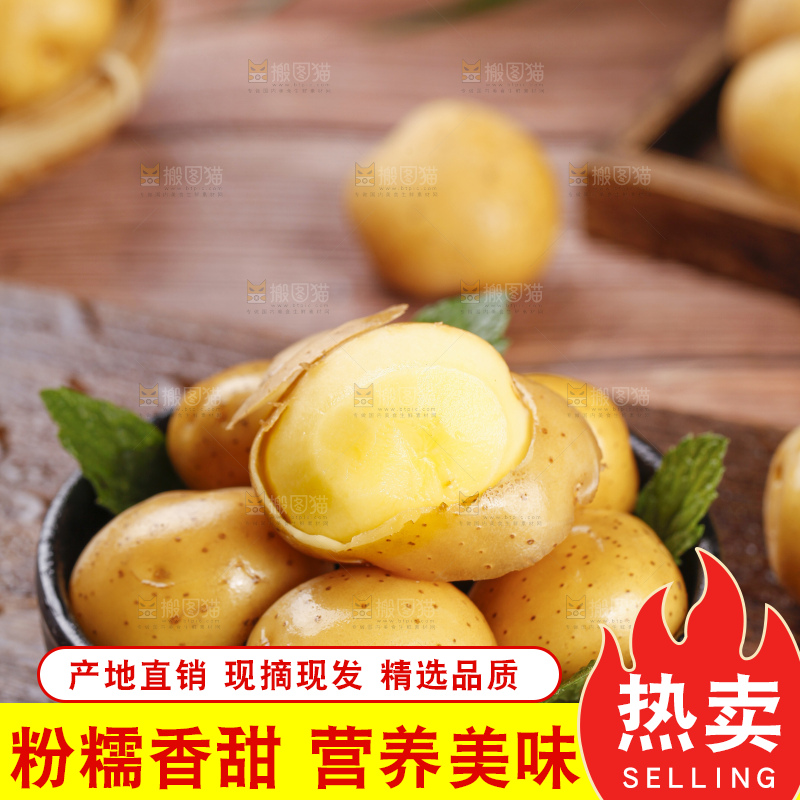 深底上的宜昌小土豆