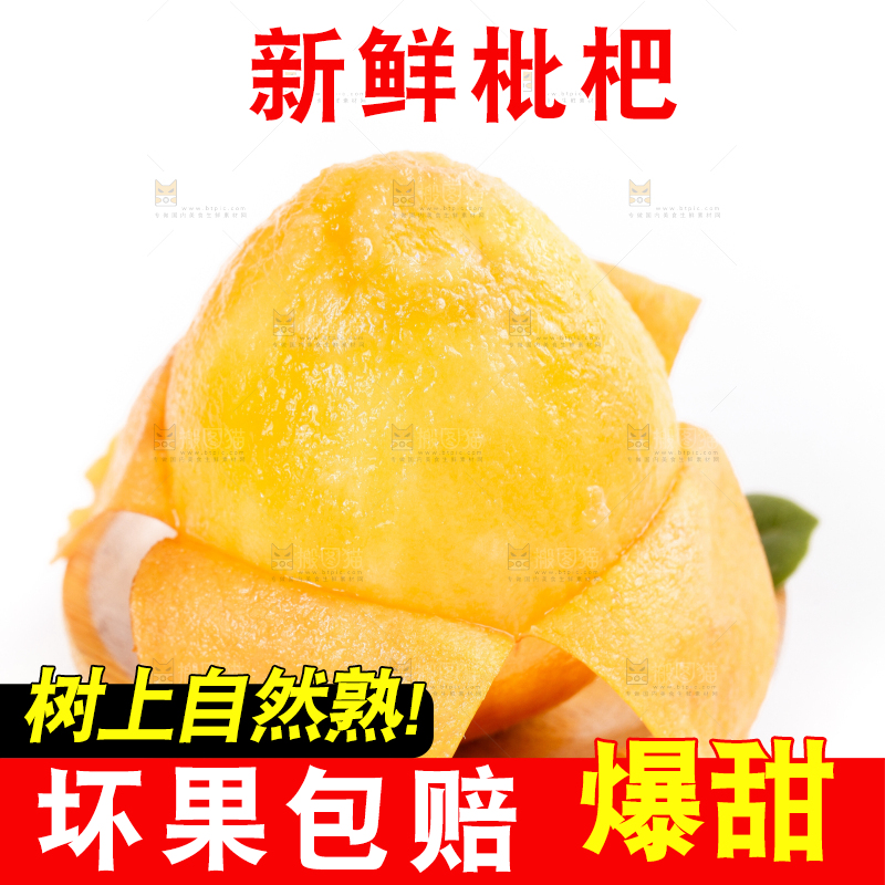 碟子里装着新鲜枇杷