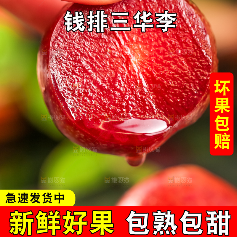 石板上放着钱排三华李