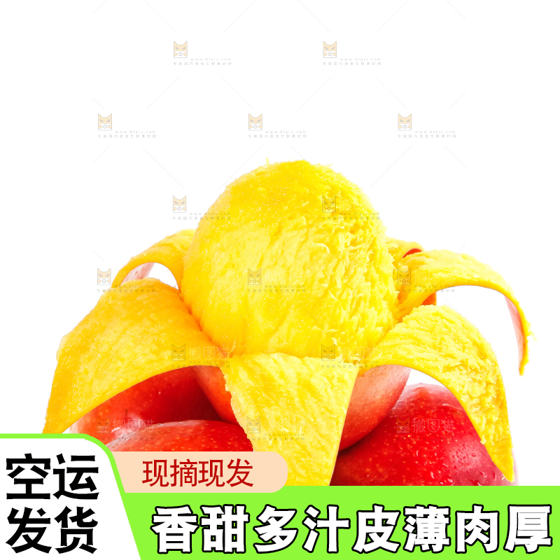 白底上的爱文芒