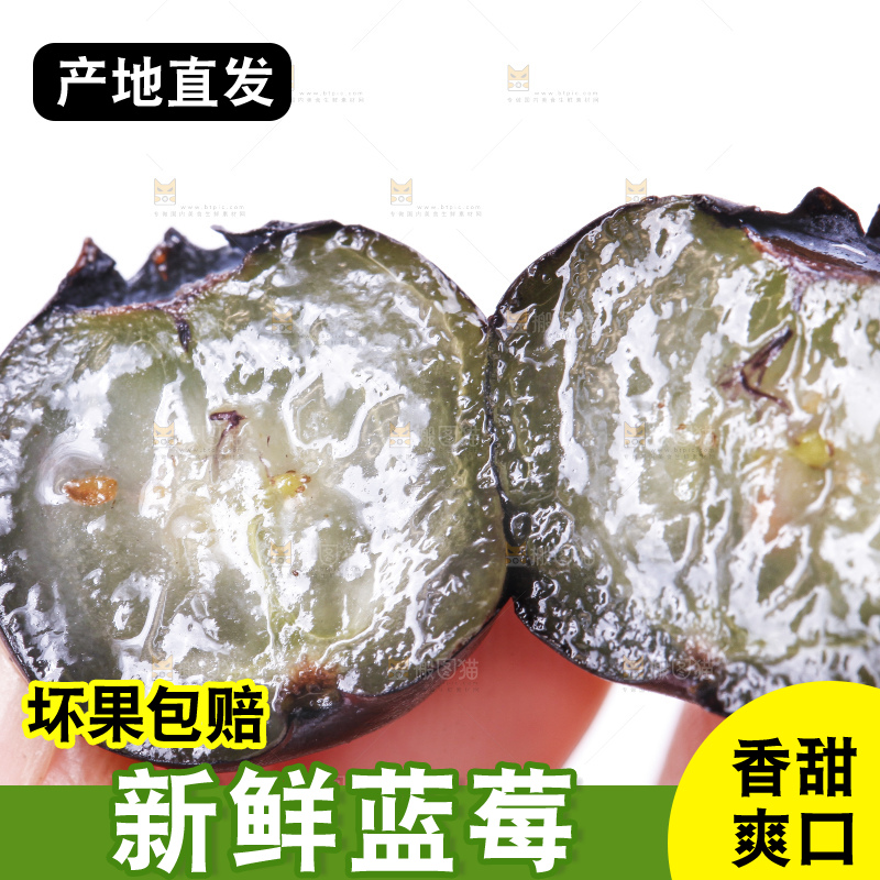 手里拿着蓝莓果
