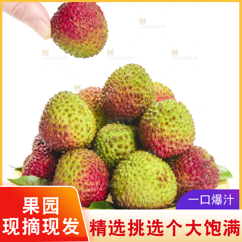 手里拿着新鲜妃子笑荔枝