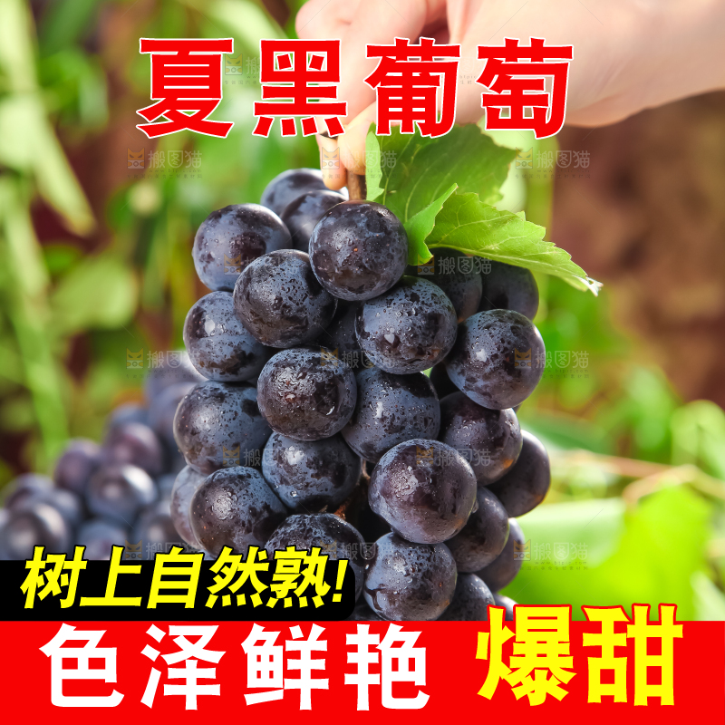 白格子底上放着夏黑葡萄