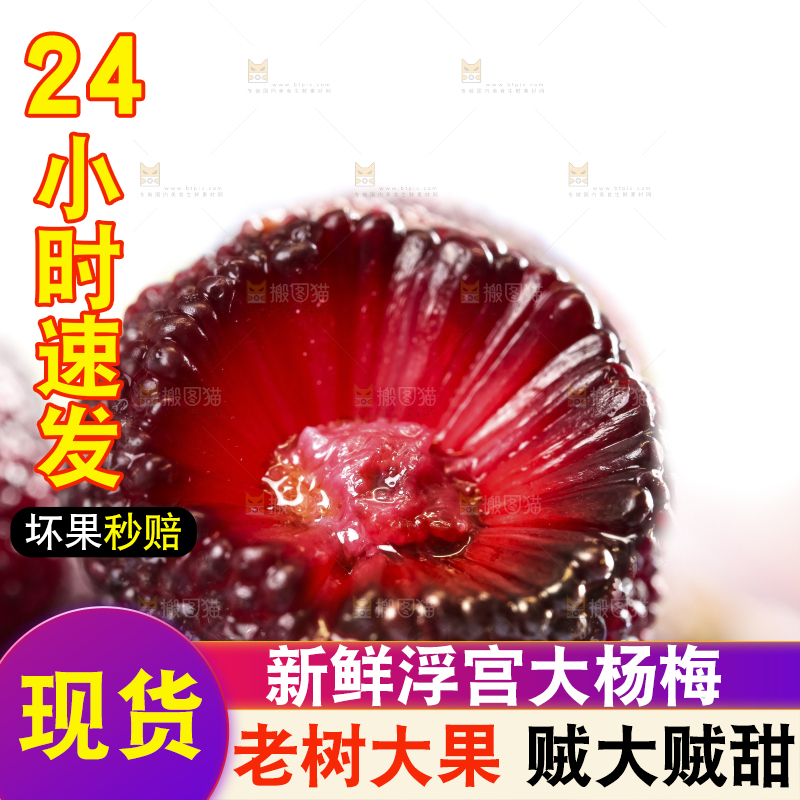 篮子里装着野生杨梅