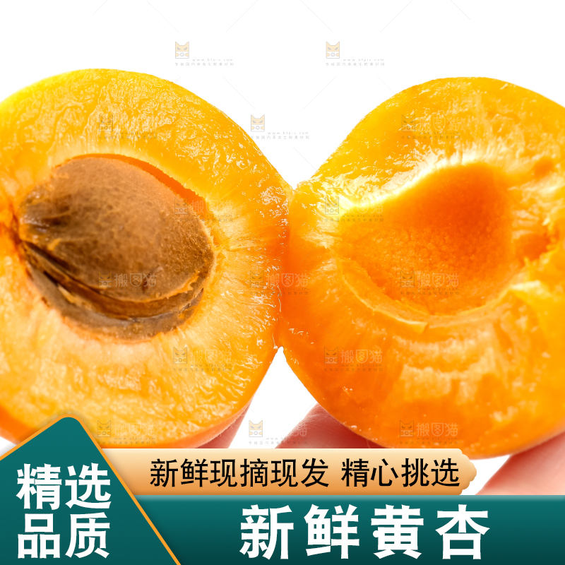 手里拿着大黄杏