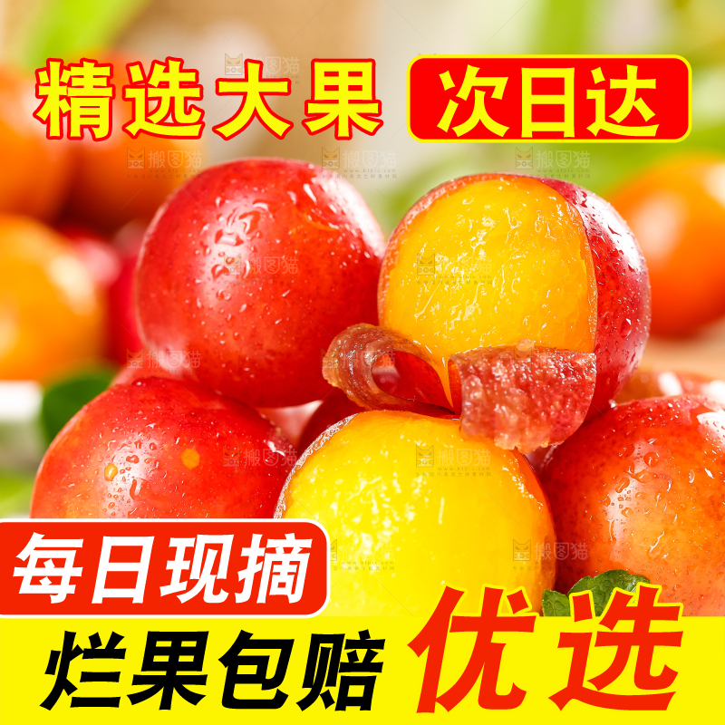 白底上摆放着土李子