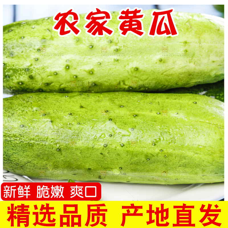 碟子里放着新鲜黄瓜