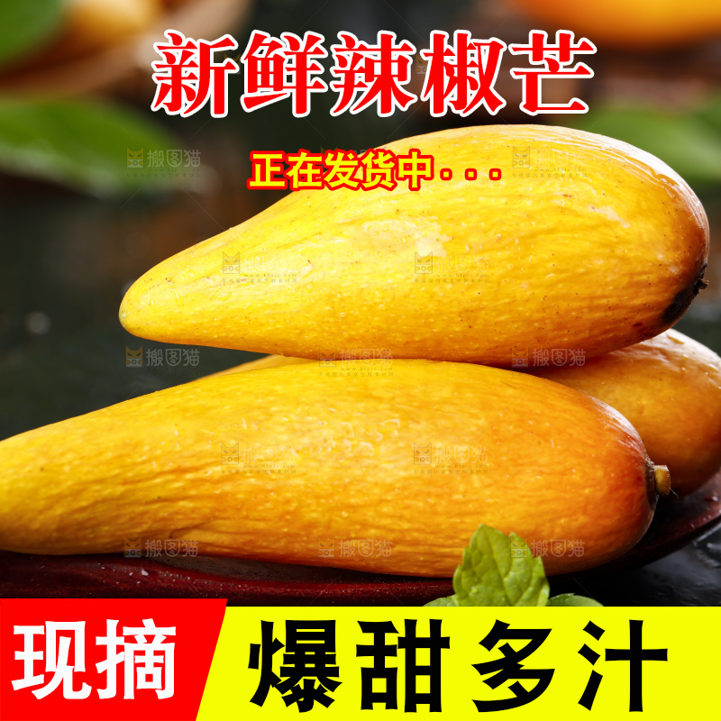 石板上的牙签芒