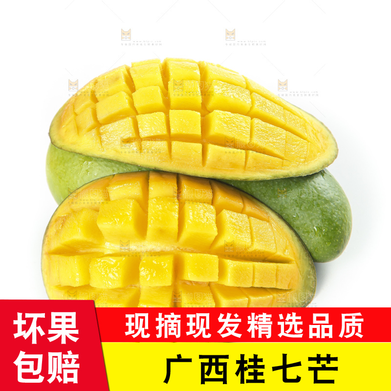 白底上的桂七香芒