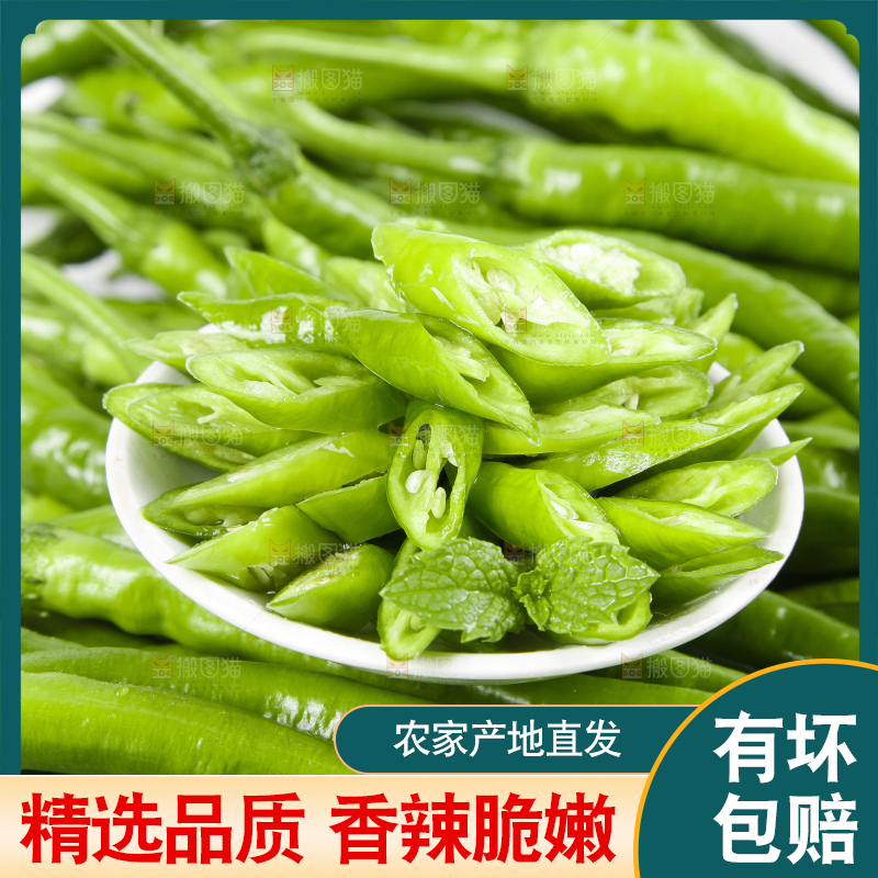 白底上的二荆条辣椒