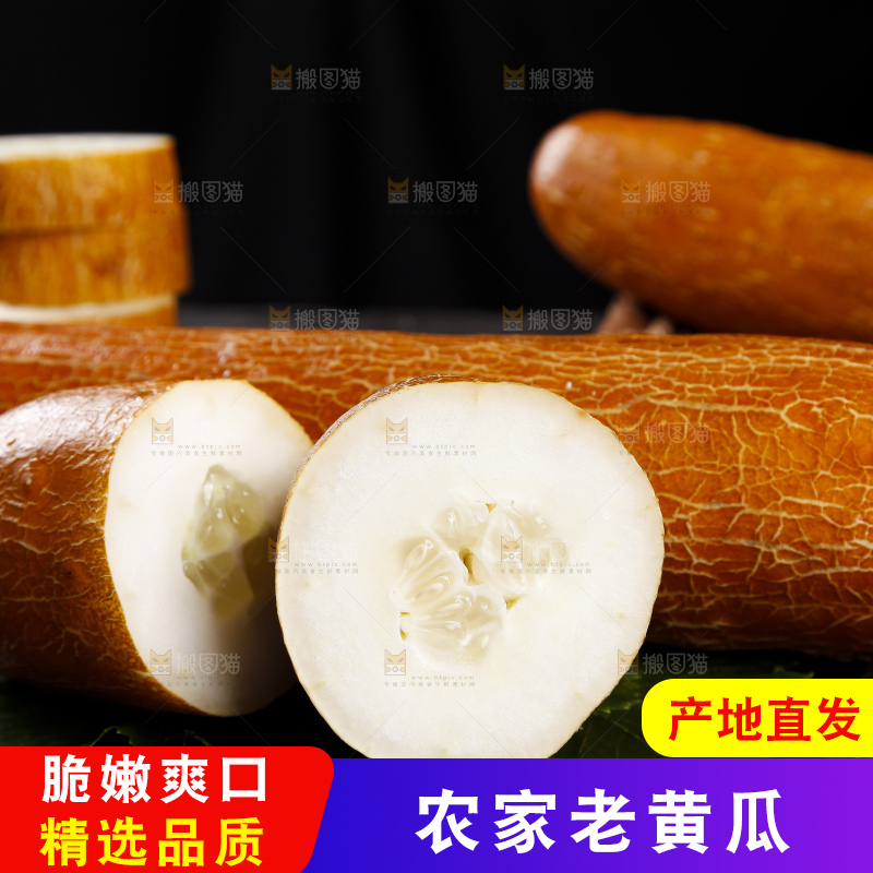 深底上的老黄瓜