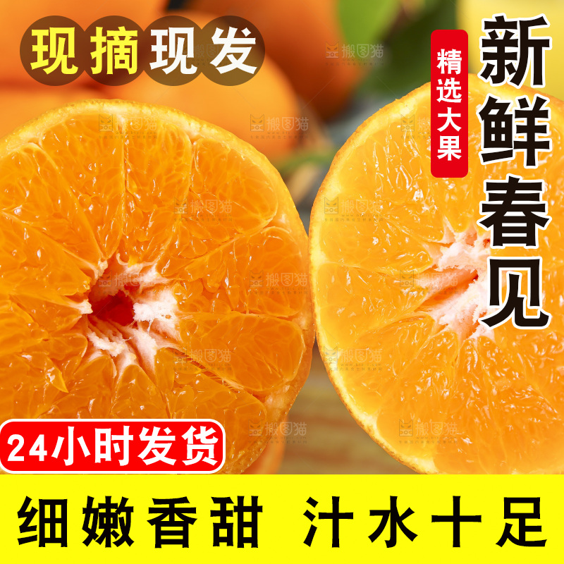 手里拿着四川耙耙柑