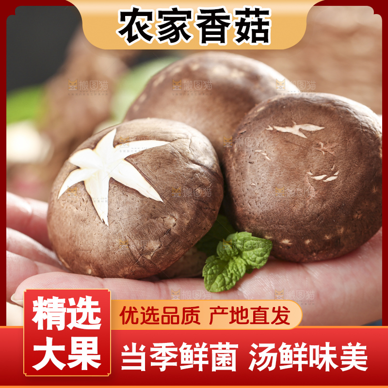 手里拿着菌菇