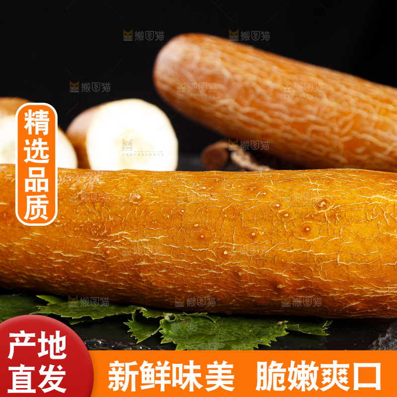 深底上的老黄瓜