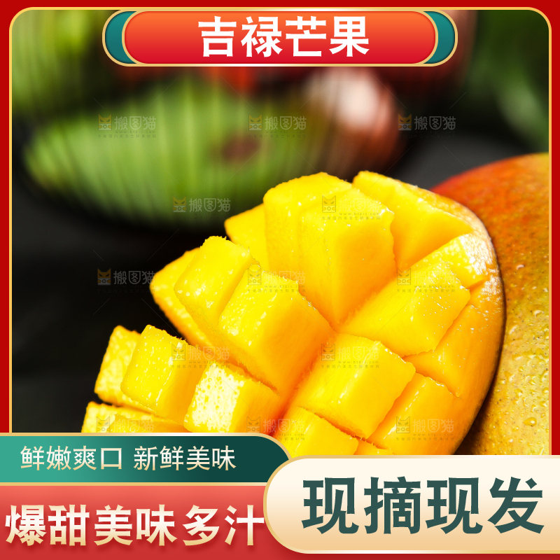 黑石板上的四川吉禄芒