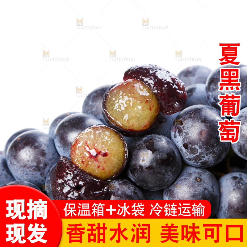 白底上的巨峰葡萄