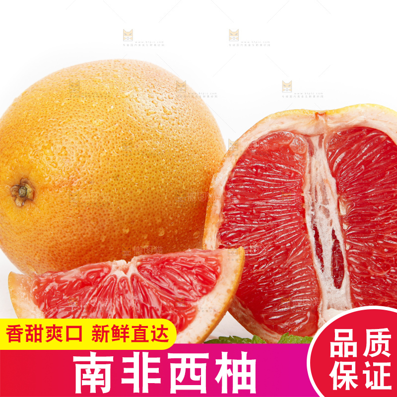 白底上的葡萄柚