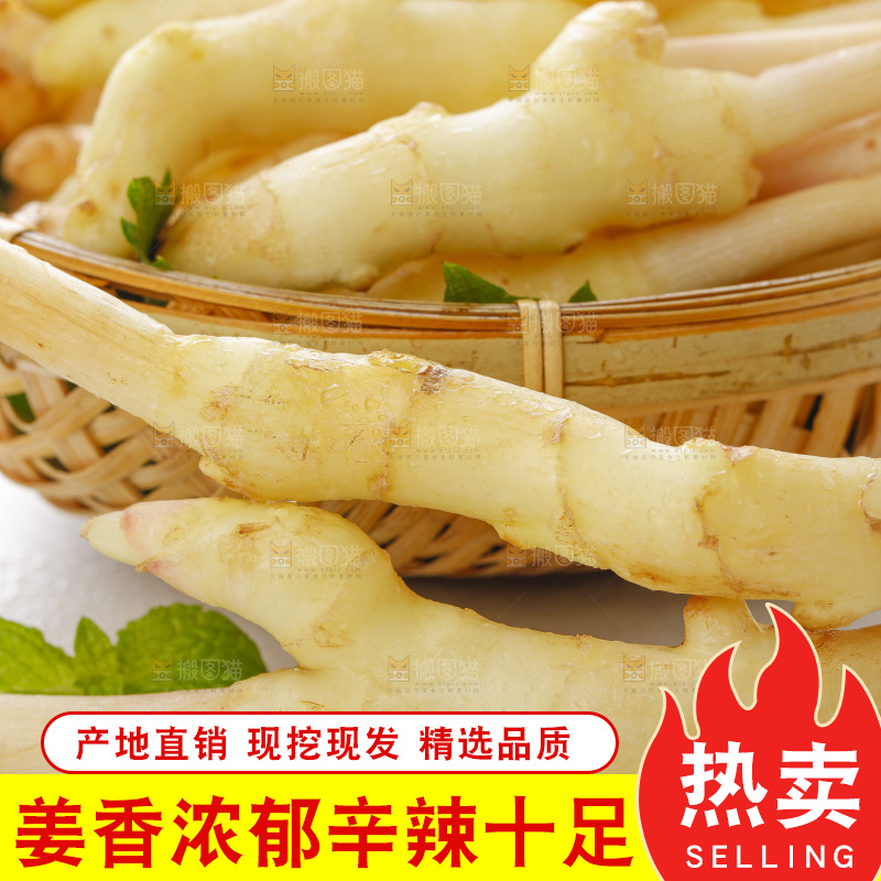 白底上的一堆新鲜生姜