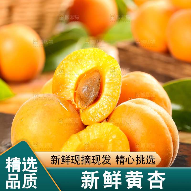 黑底上放着大黄杏