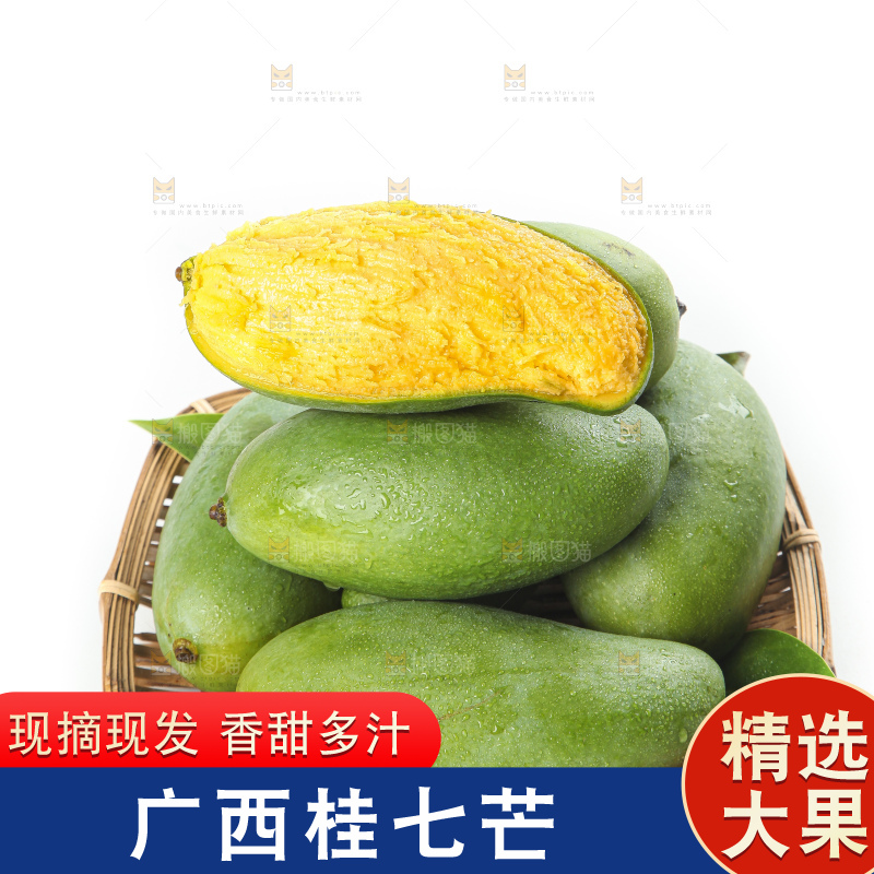 白底上放着青皮桂七芒