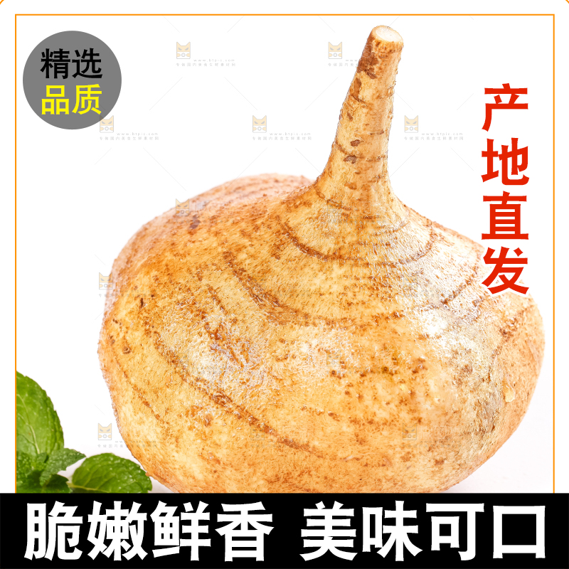 白底上放着凉薯