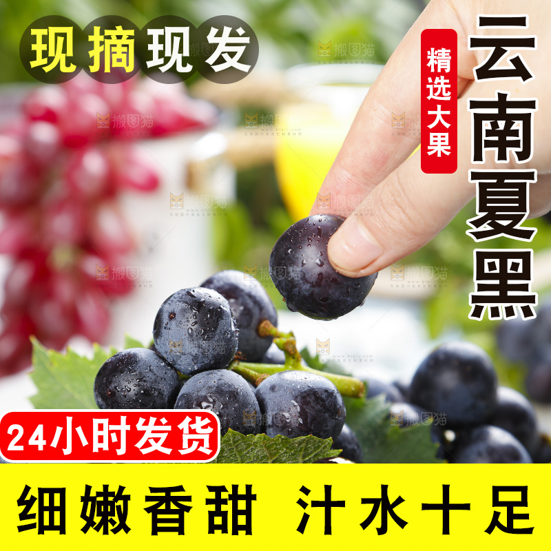 手里拿着黑加仑葡萄