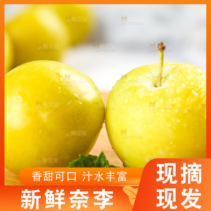 亮底上的九峰山黄金奈李