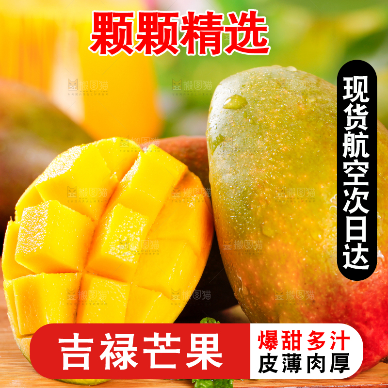 木板上的四川吉禄芒