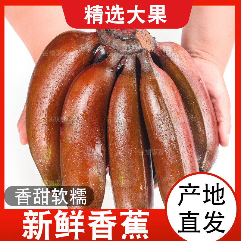 白底上的红皮美人蕉