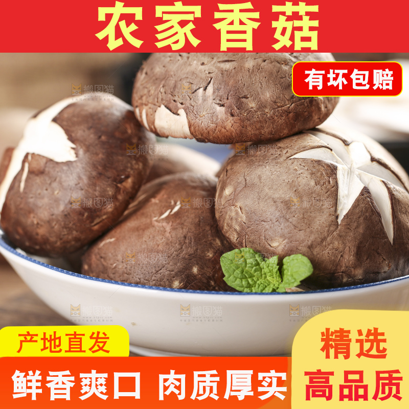 碟子里装着新鲜香菇