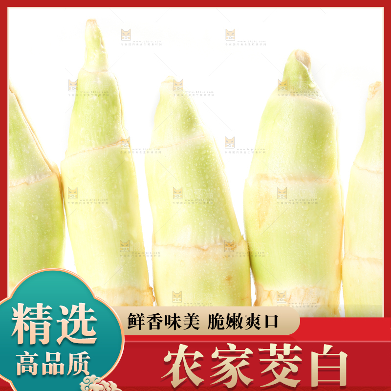 白底上的茭白