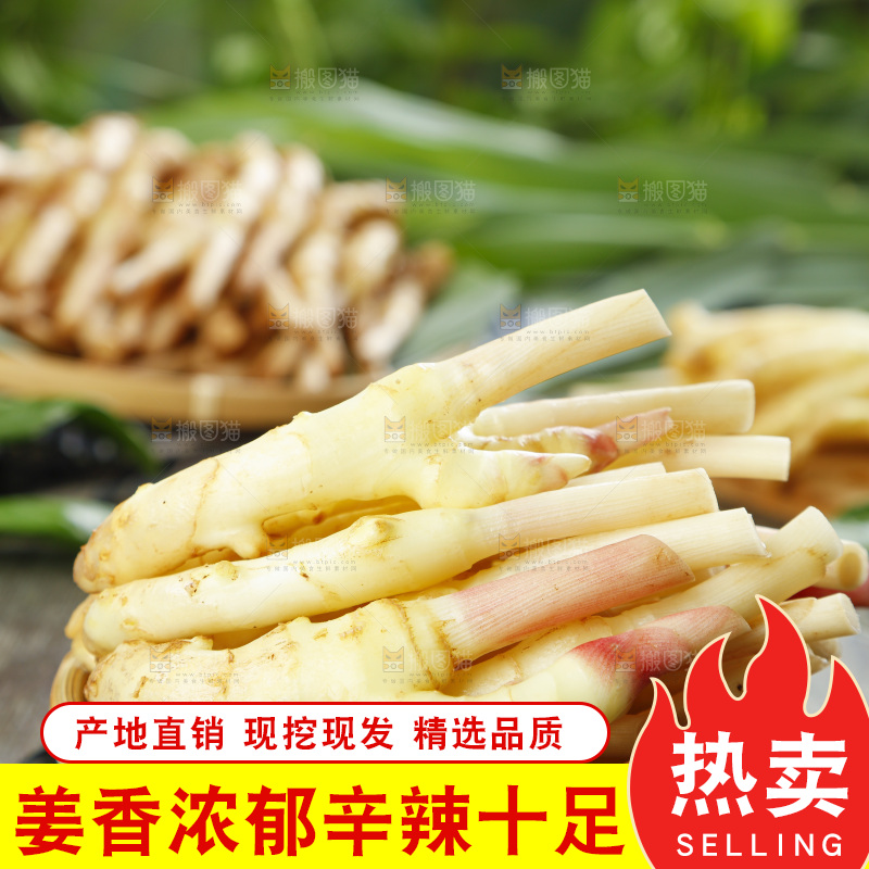 篮子里装着新鲜嫩姜