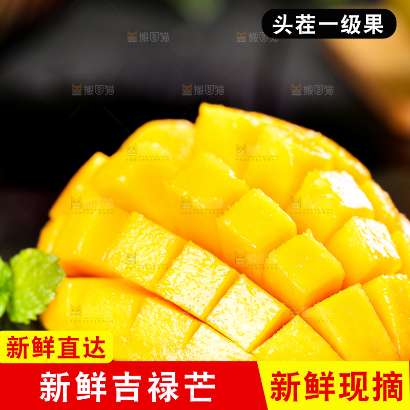 黑石板上的四川吉禄芒