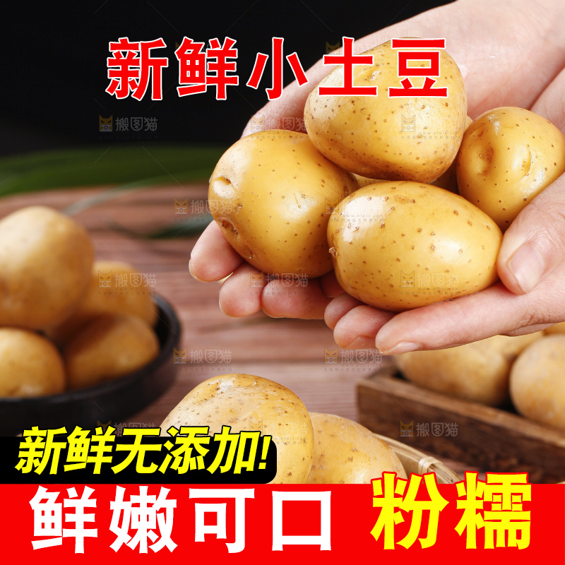 手里拿着迷你小土豆