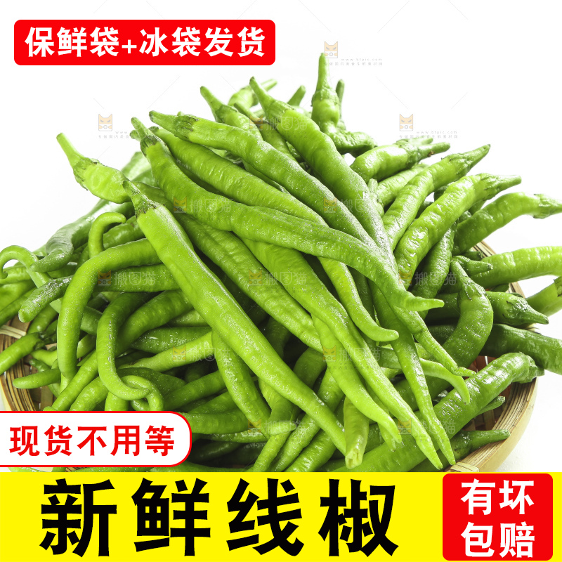 白底上的新鲜青辣椒