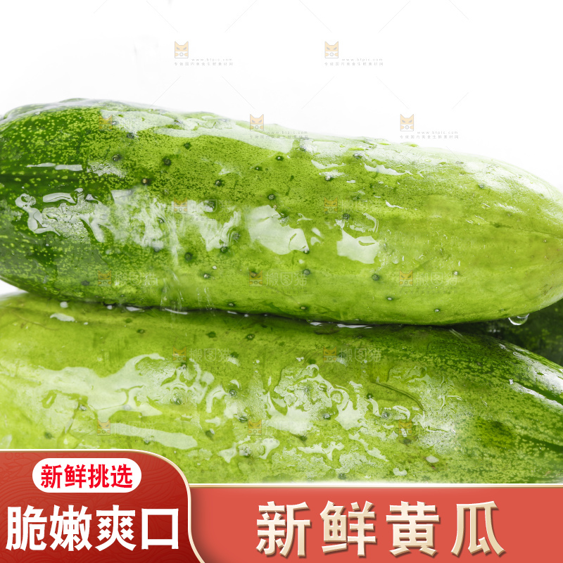 白底上放着刺黄瓜