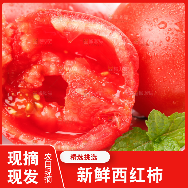 亮底上的新鲜西红柿