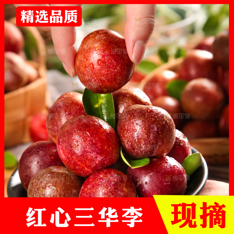 盘子里装着钱排三华李