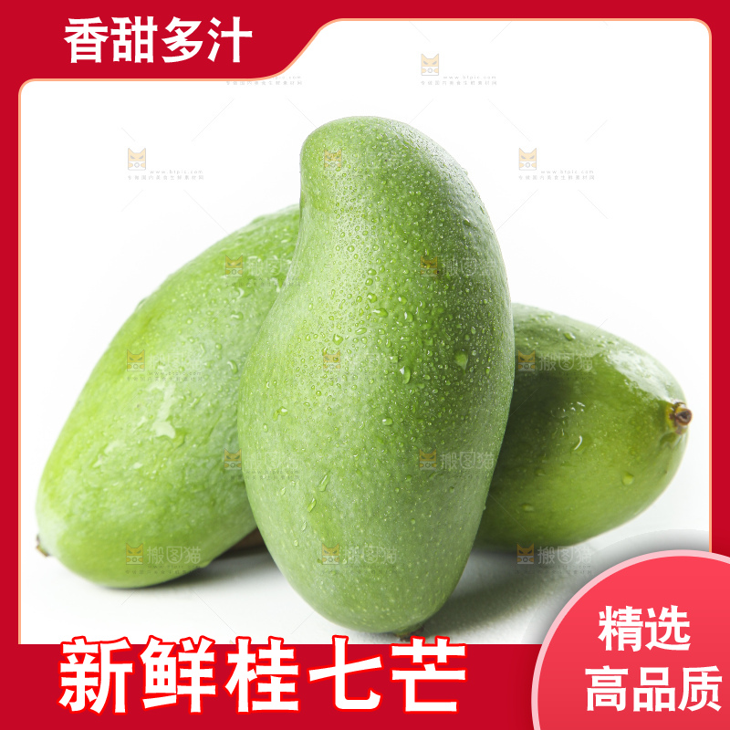 白底上放着青皮桂七芒