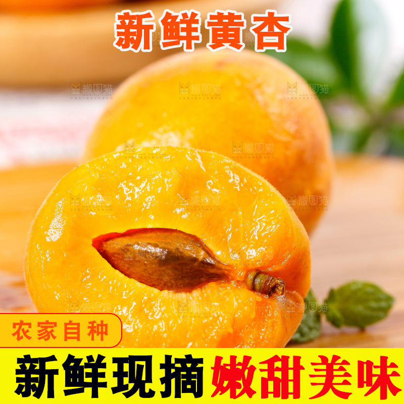 木底上放着陕西新鲜大黄杏