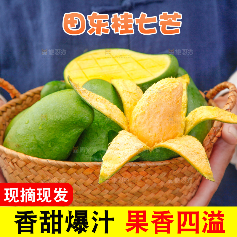 篮子里装着田东桂七芒
