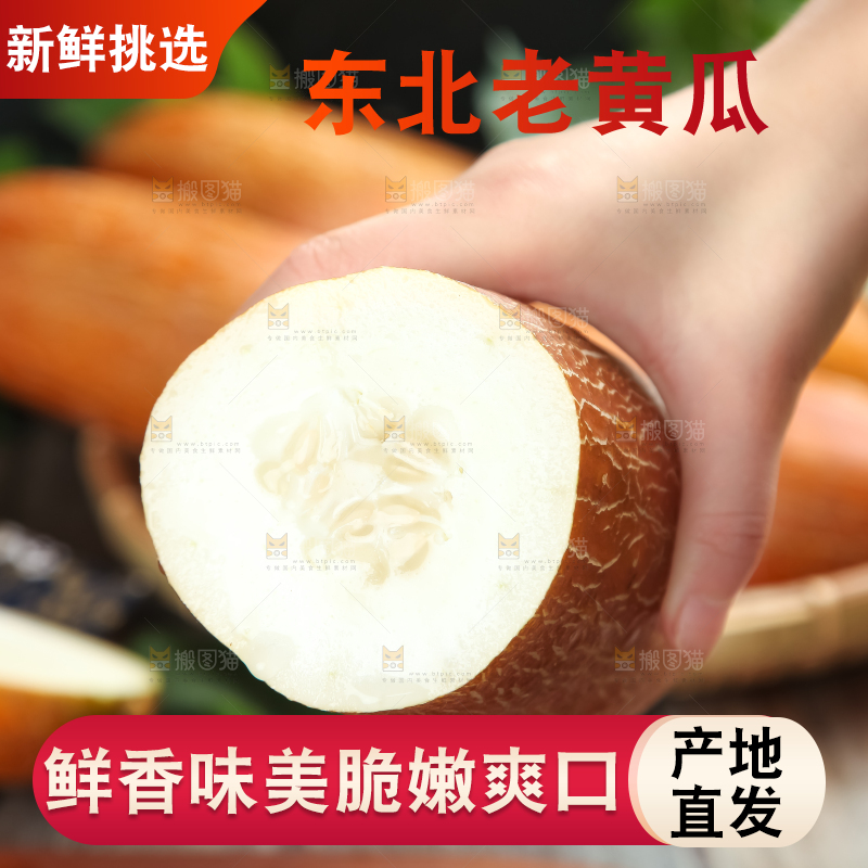 手里拿着新鲜老黄瓜