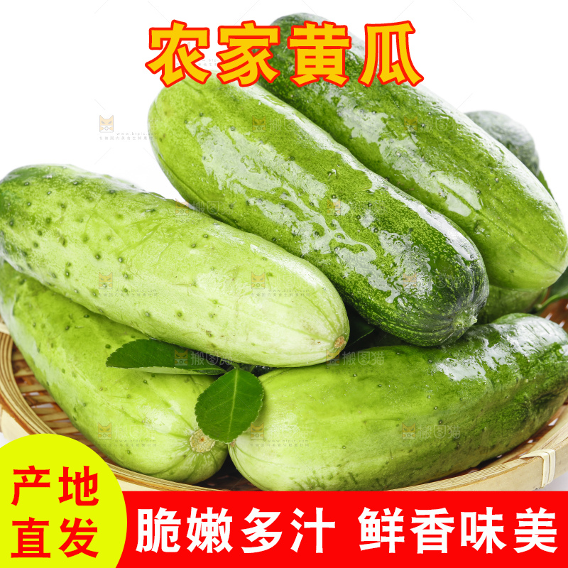篮子里装着蔬菜黄瓜